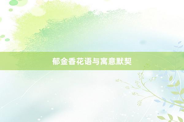 郁金香花语与寓意默契