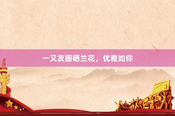 一又友圈晒兰花，优雅如你