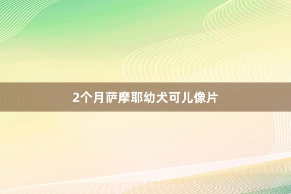 2个月萨摩耶幼犬可儿像片